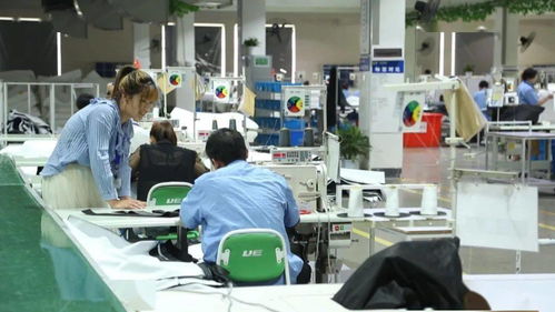 厲害了！湖州新增一中國馳名商標(biāo)，網(wǎng)絡(luò)技術(shù)研發(fā)實力再獲認(rèn)可