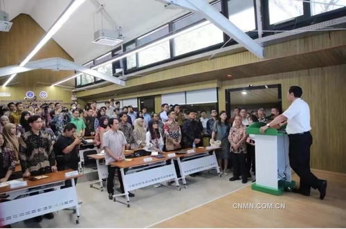 中印尼新能源材料與冶金工程技術聯合研究實驗室建成運行，開啟科技文化合作新篇章